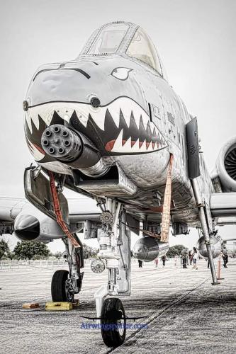 FB_IMG_1665167390098