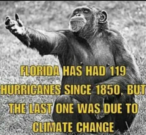 xephula_16bfc3e366c5baa04ba75745a4eeb2f6