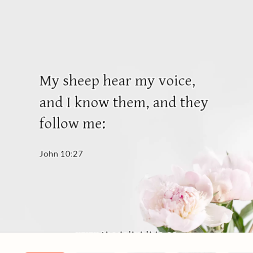 dailybible_20221030-210505_John_10-27