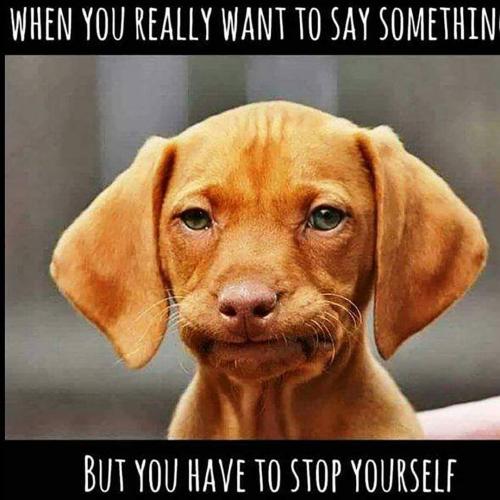 FB_IMG_1666040787275