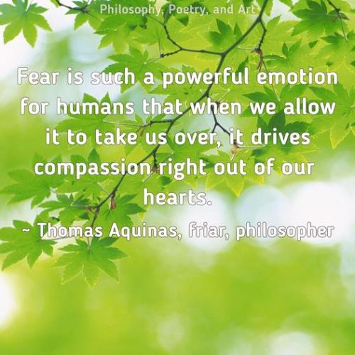 311598119_5754548327945935_7839387474488935813_n