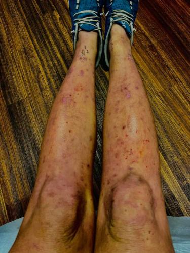 IMG_20221021_005527_692