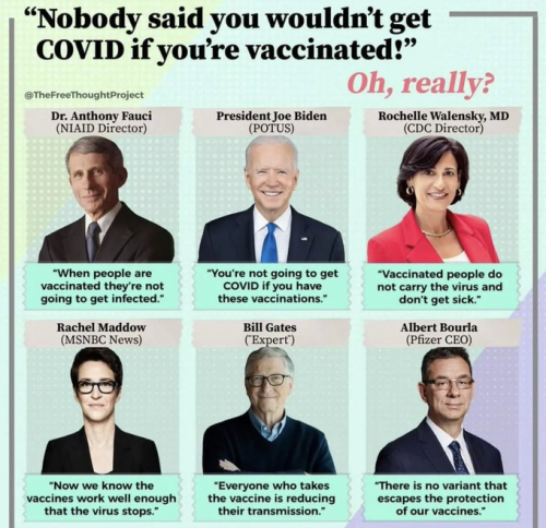 xephula_605cc28fc5611155bb029587723ad645