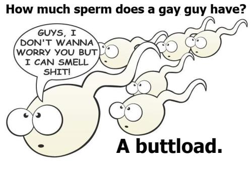 buttload of gay sperm