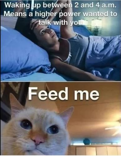 feed
