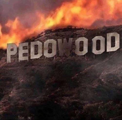 0205cc2b-064e-4161-a3b5-741a4ab9bbe1