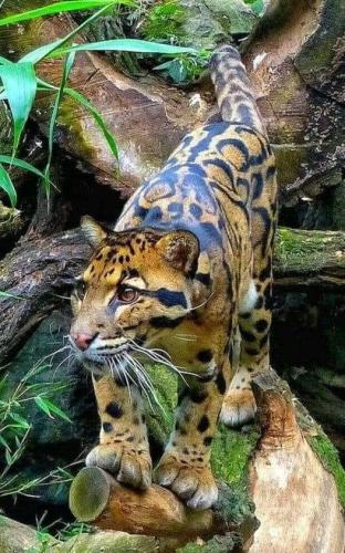 311407072_8461075343910332_9134023009330460469_n