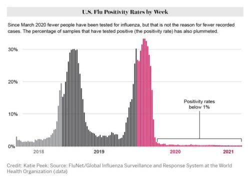 7ff31fa4-28a0-4147-935b-3f6869b6cb45_700x502