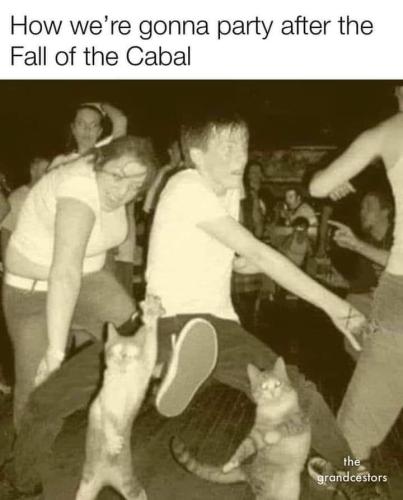 FB_IMG_1665023332469