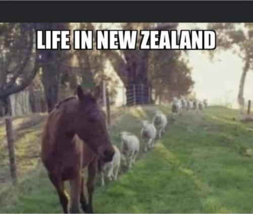 21:40:15 GMT+1300 (NZDT).image