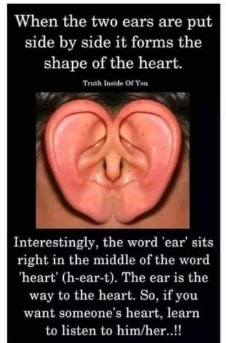 124980091_10159102308869747_7205450912083891017_n