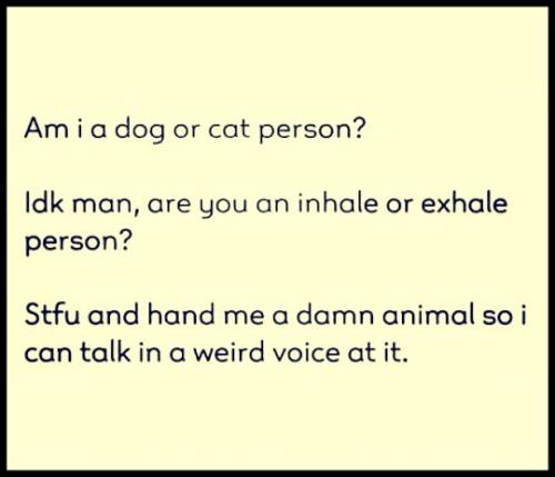 tumblr_3b68004946d2306eb601c000e946f00b_d854bd5e_540