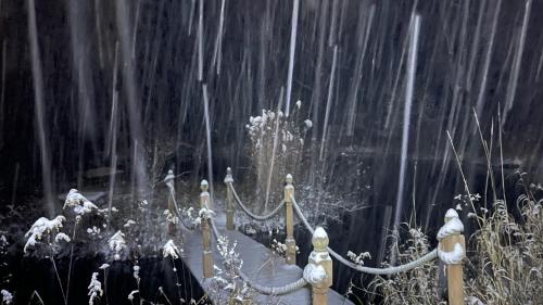 0E4751DD-7795-46D4-BCC2-825323C4A599