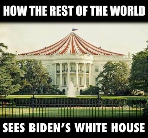 photo_2022-11-15_18-47-34