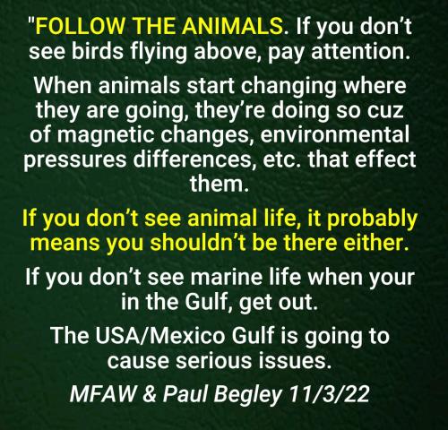 08:07:14 GMT-0400 (EDT)