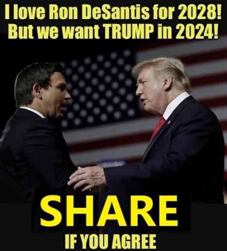 photo_2022-11-10_06-17-52