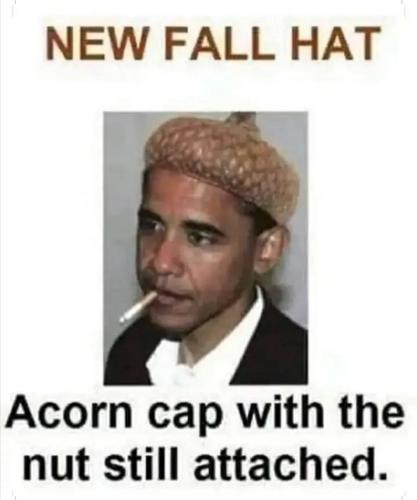 Screenshot_20221031_190425