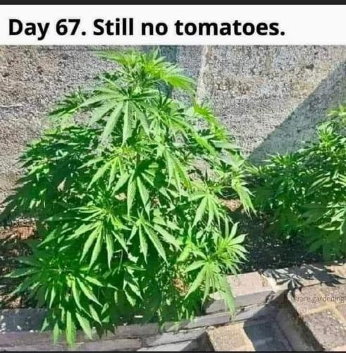 20:30:59 GMT-0500 (EST)