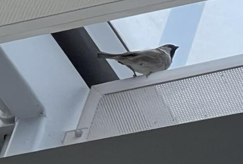 14:05:19 GMT-0600 (Central Standard Time).image