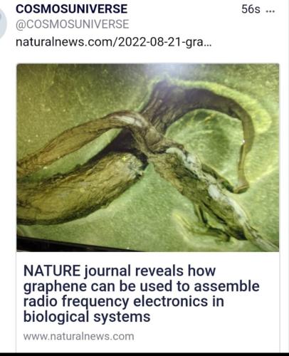 13:36:25 GMT-0500 (EST)