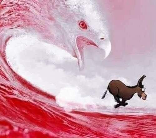 FB_IMG_1667335838368