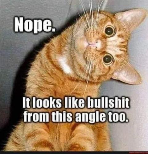 314602897_546763424126351_4442655127671485365_n