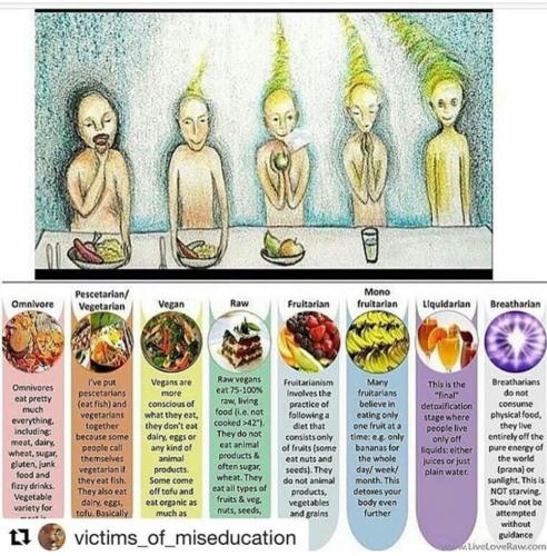 Screenshot_2022-11-26-08-39-44-13_1c337646f29875672b5a61192b9010f9