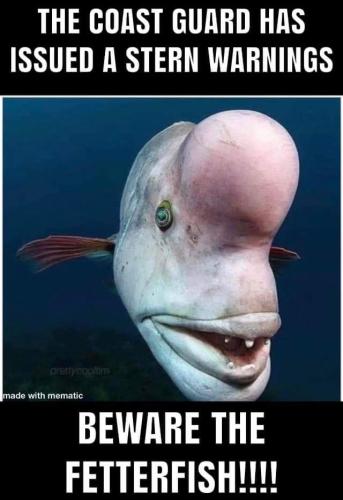 FB_IMG_1668179581823