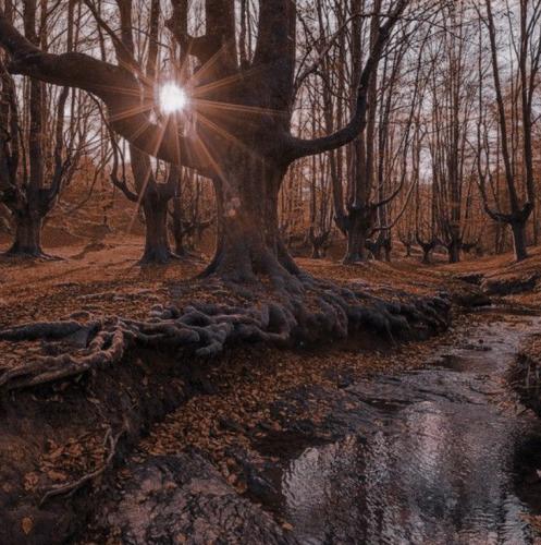 tumblr_8cf9d83719a4bb2865259618bb5fe4f5_ddd74cc1_1280