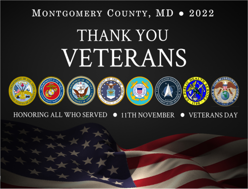 VeteransDayGraphic2022