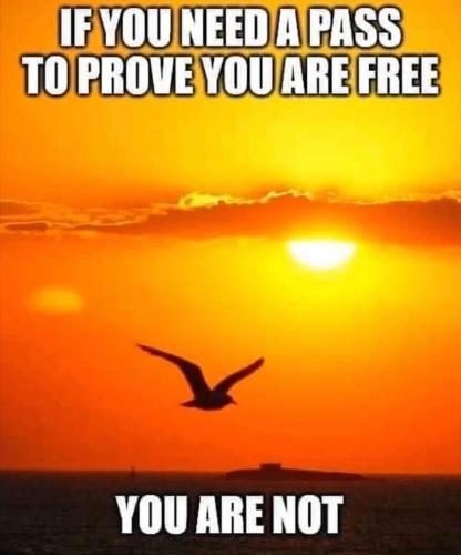 Screenshot_2022-11-23-18-30-46-86_1c337646f29875672b5a61192b9010f9