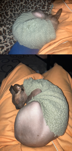 13:47:20 GMT-0500 (Eastern Standard Time).image