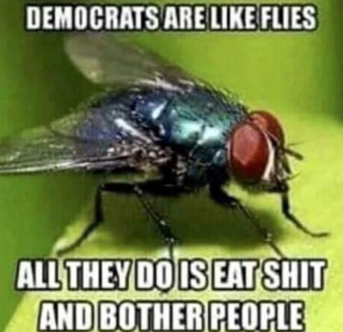 democrats574