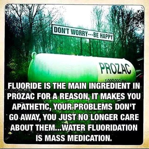 photo_2022-11-10_18-08-53