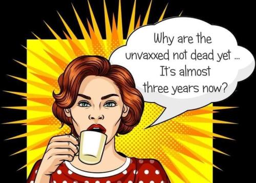 xephula_d8342aadc0373b89aa22cf38c5648552