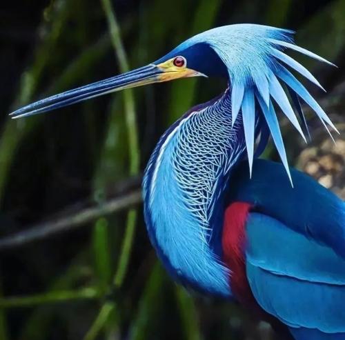 313441161_490802243084230_6332982326312682302_n