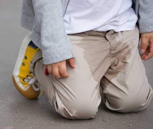 FB_IMG_1668868446322