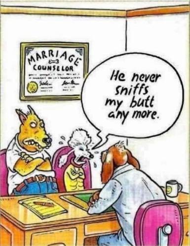 313409195_5996589813707099_7447134214330663392_n