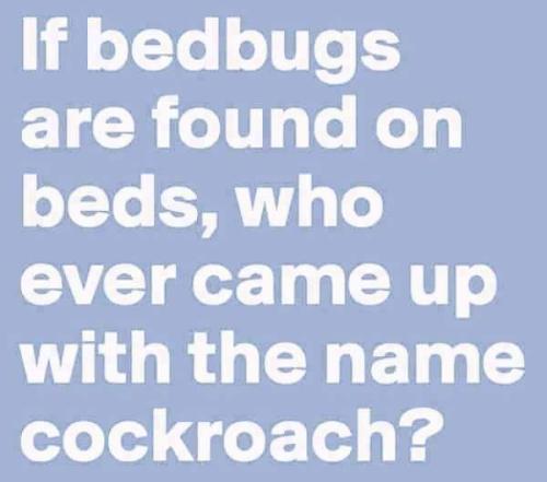 FB_IMG_1669830970774