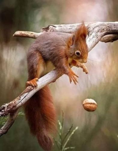 tumblr_af40805a44cd995401d14f6df4ad8331_81cbe1f3_540