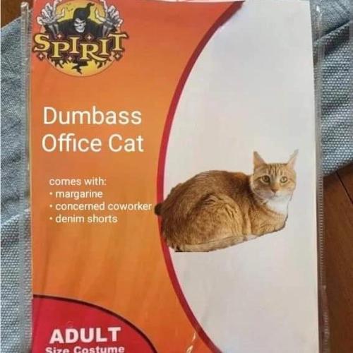 43efad36-d67b-4d4b-ab07-6c1fde543553