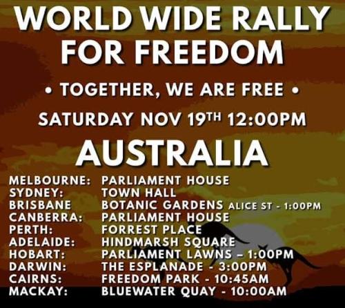 FB_IMG_1668602332179