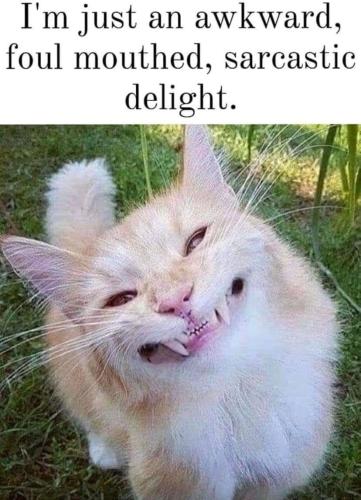 IMG_20221120_004052_734