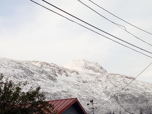 IMG_20221029_093607_634