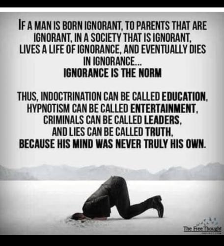 Screenshot_2022-11-23-19-10-54-65_92460851df6f172a4592fca41cc2d2e6