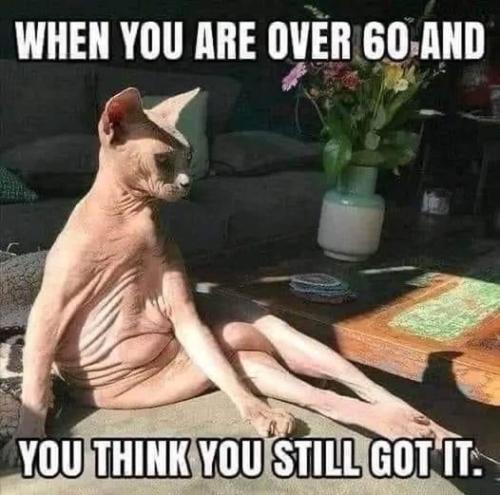 315213373_6025640177468729_5077769115896546303_n