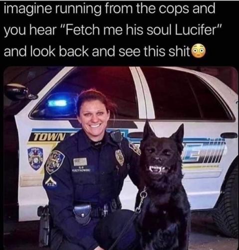 FB_IMG_1667592430353