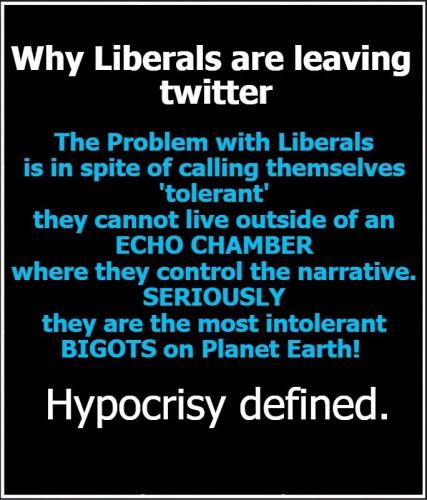 Why Liberals are Leaving twitter