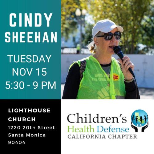 Santa Monica, California - Nov 15, 2022 - Cindy Sheehan Speaks at Highthouse Church