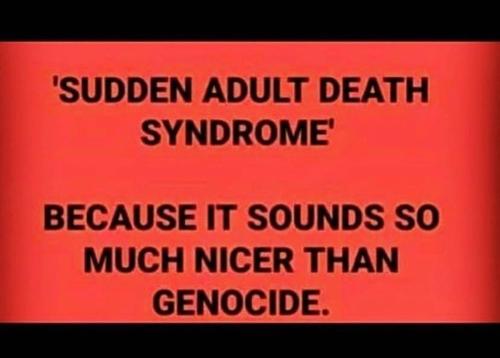 Screenshot_2022-11-07-18-35-34-42_1c337646f29875672b5a61192b9010f9